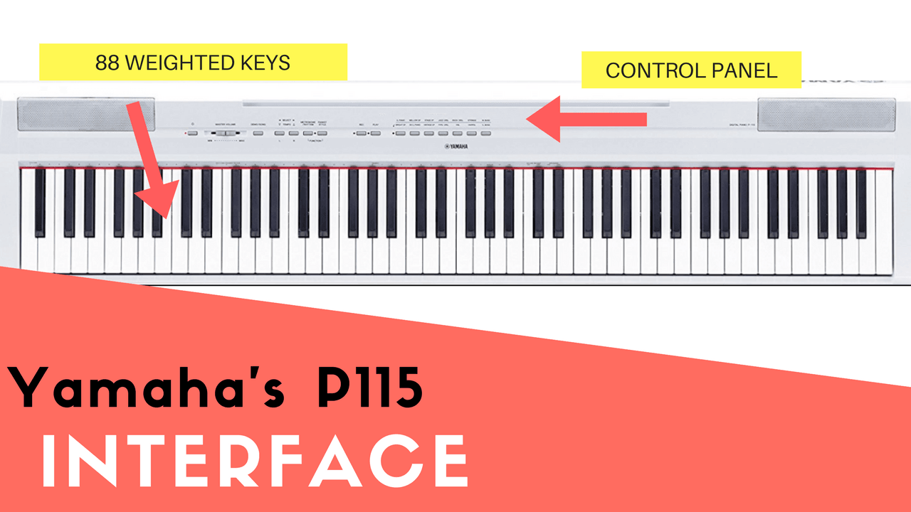 Yamaha P115 layout interface and 88 keys picture