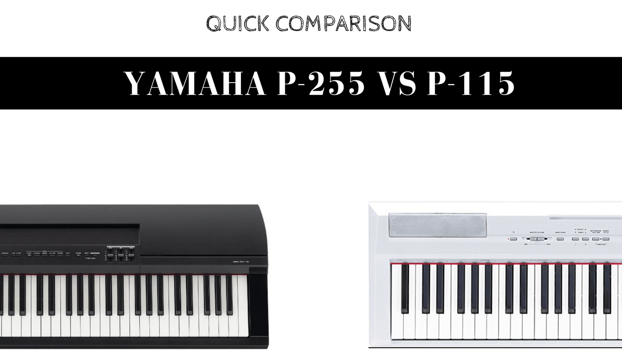 Yamaha p115 vs p255 digital pianos